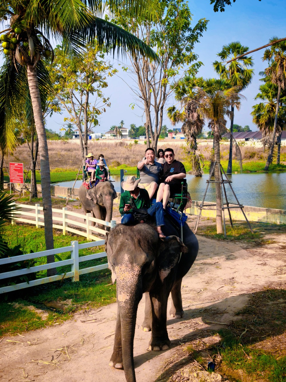 香港宝典全年资料库