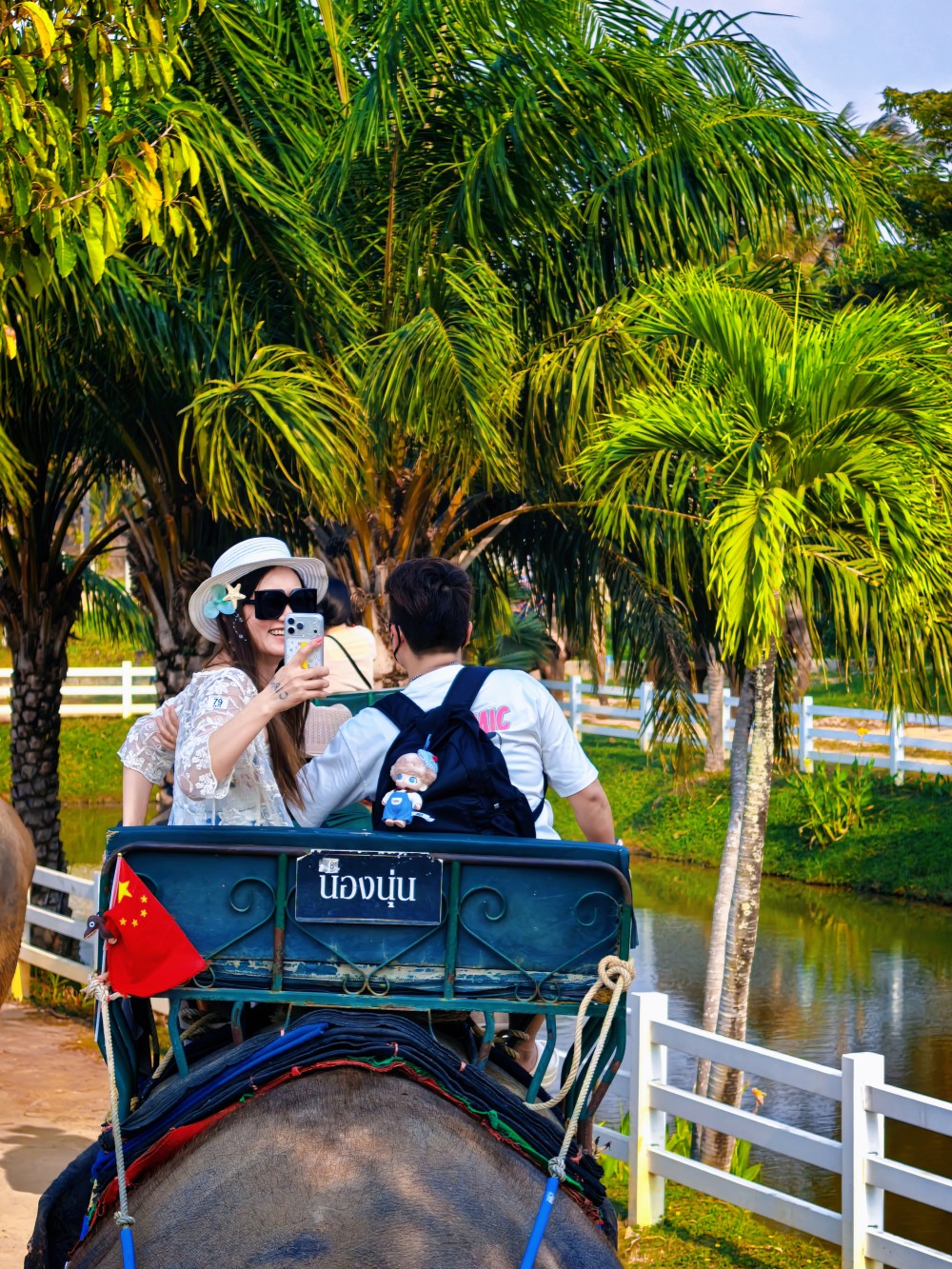 香港宝典全年资料库